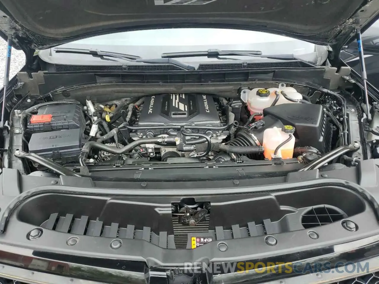 12 fotografías del automóvil dañado 1GYS4SK93PR229583 CADILLAC ESCALADE V 2023