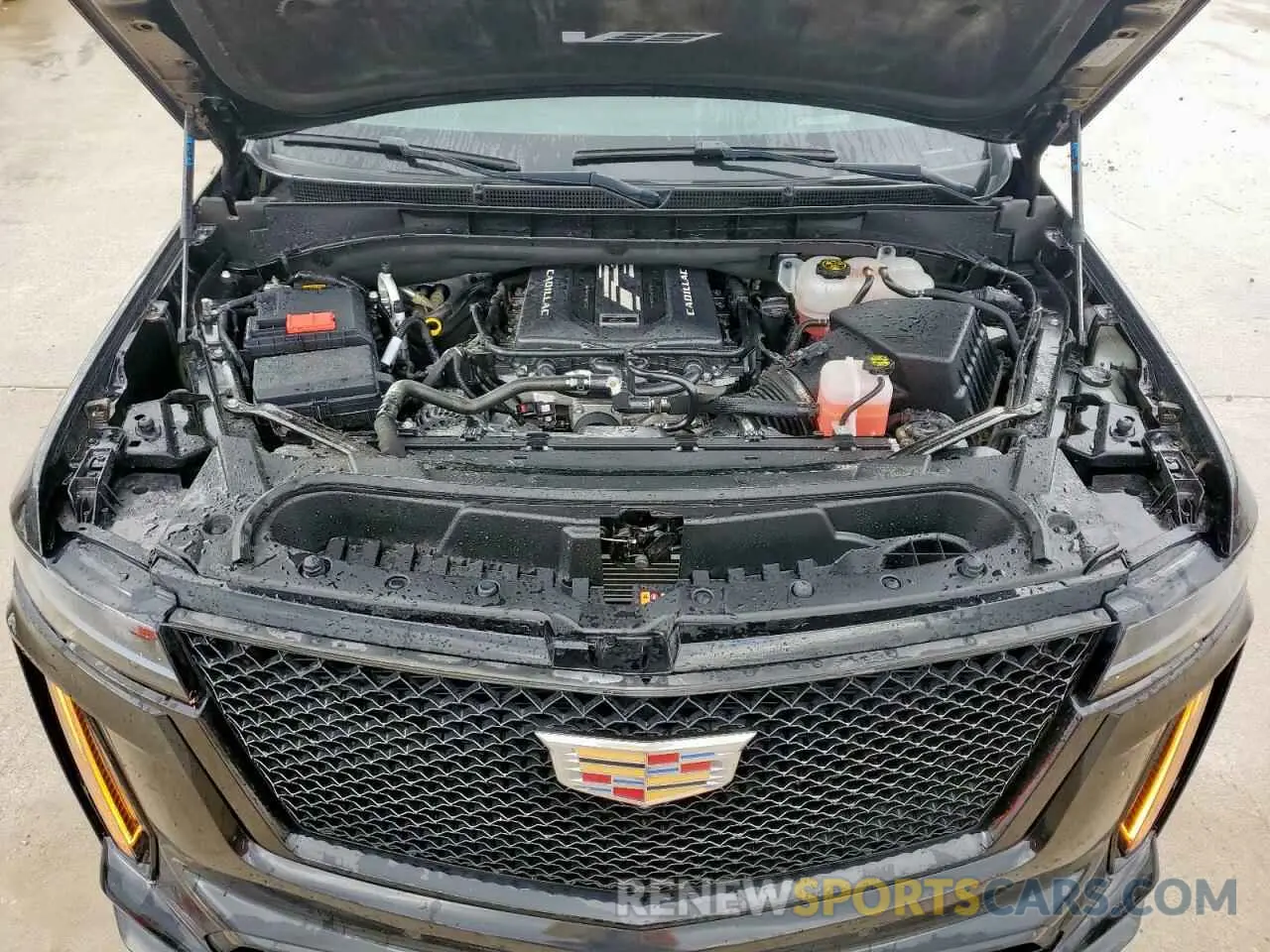 12 fotografías del automóvil dañado 1GYS4HK93RR139940 CADILLAC ESCALADE V 2024