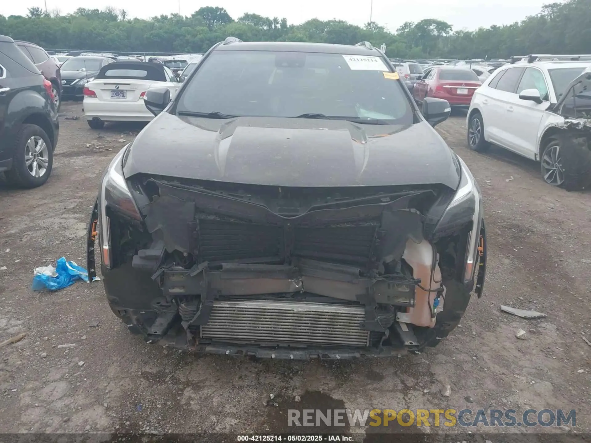13 fotografías del automóvil dañado 1GYFZER48KF102076 CADILLAC XT4 2019