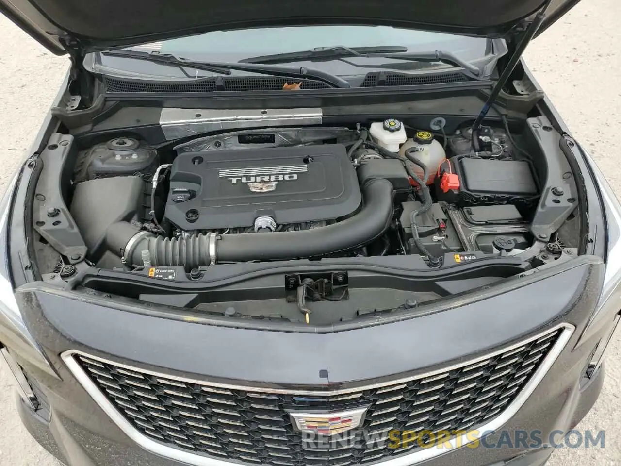 12 fotografías del automóvil dañado 1GYAZAR46PF104791 CADILLAC XT4 2023