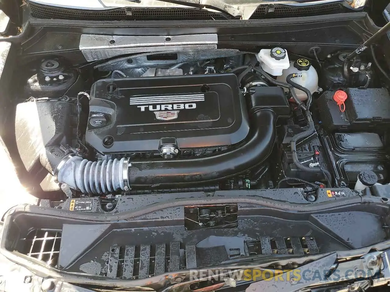 12 fotografías del automóvil dañado 1GYFZCR43RF145903 CADILLAC XT4 2024