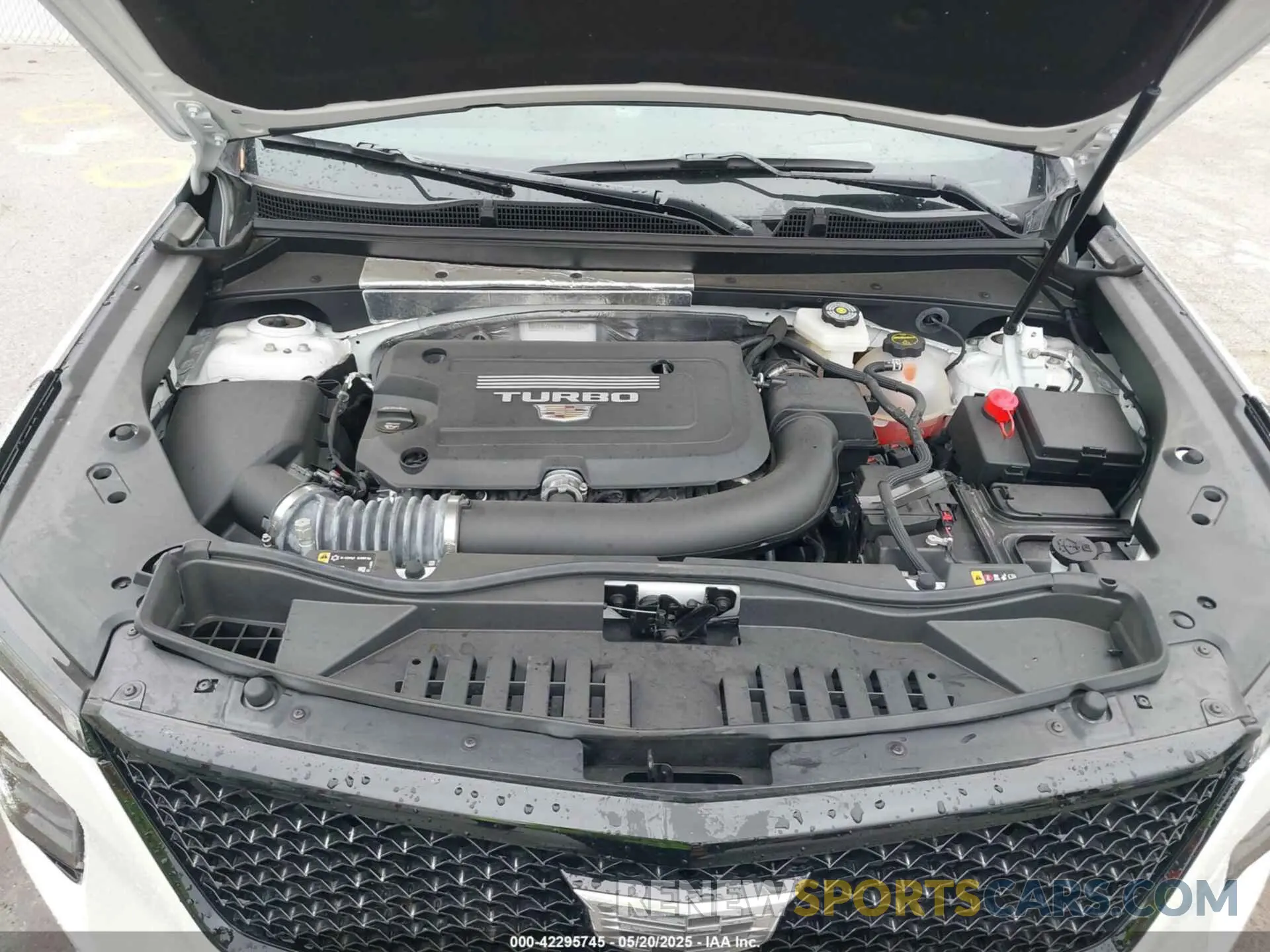 10 fotografías del automóvil dañado 1GYFZFR40RF223782 CADILLAC XT4 2024