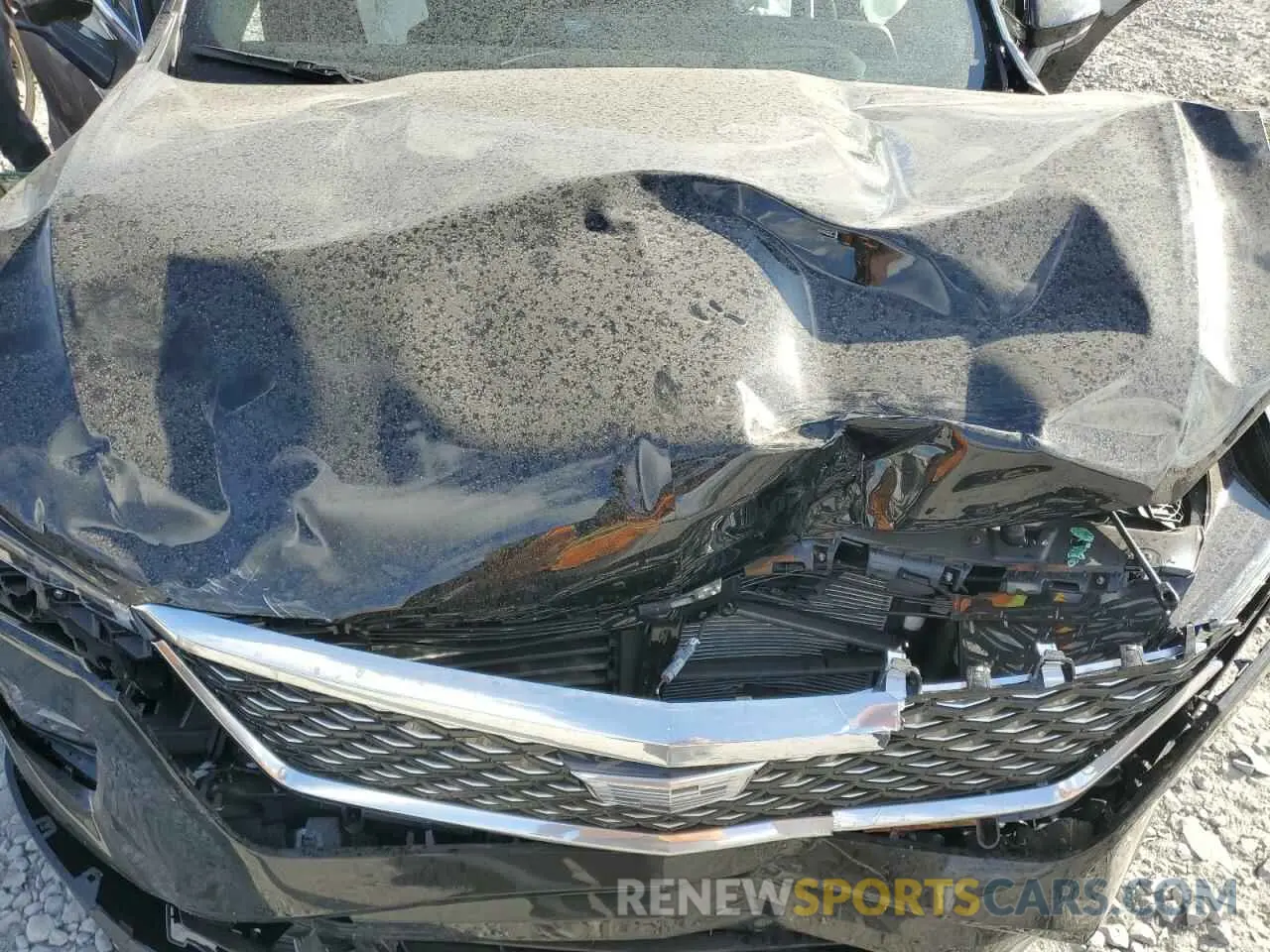 12 fotografías del automóvil dañado 1GYFZCR40SF126201 CADILLAC XT4 2025