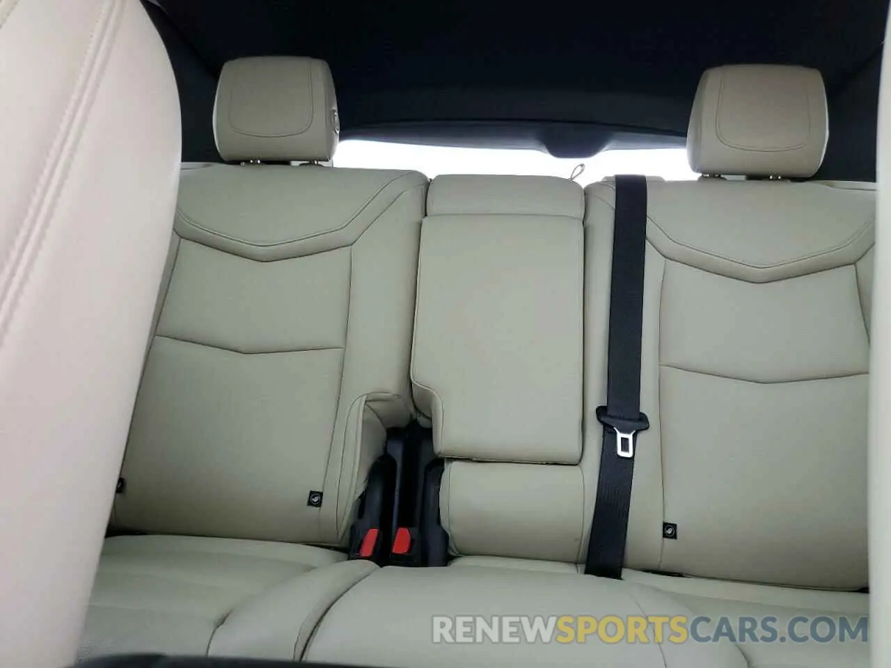 10 fotografías del automóvil dañado 1GYKNARS3KZ146048 CADILLAC XT5 2019