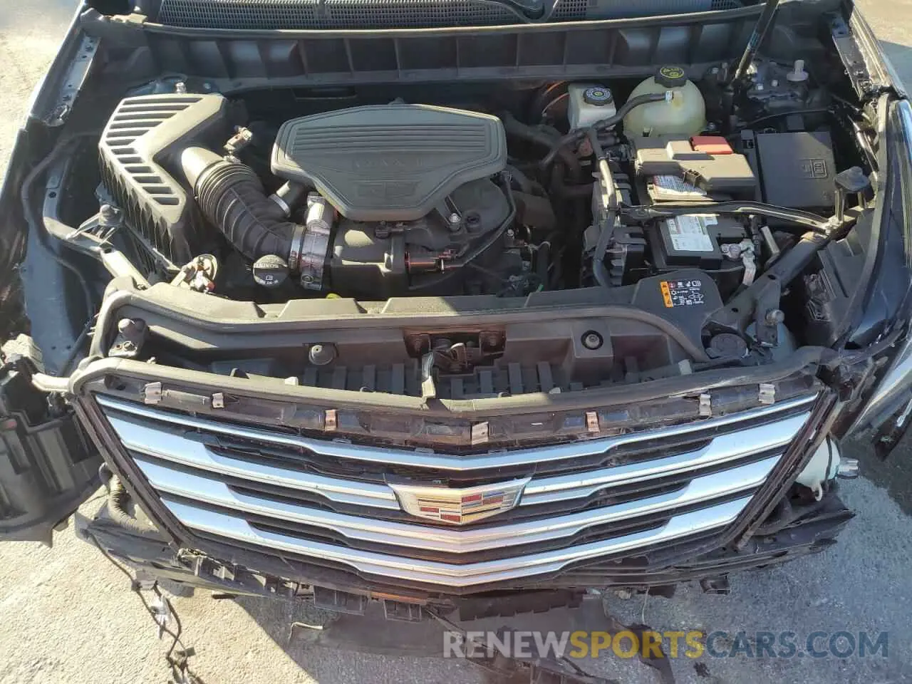 12 fotografías del automóvil dañado 1GYKNARS8KZ218927 CADILLAC XT5 2019