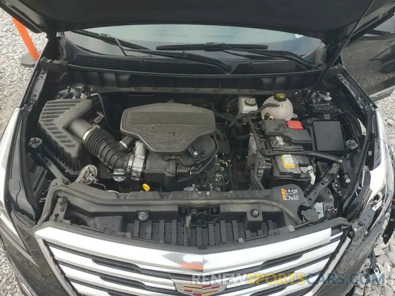 12 fotografías del automóvil dañado 1GYKNDRS7KZ240600 CADILLAC XT5 2019