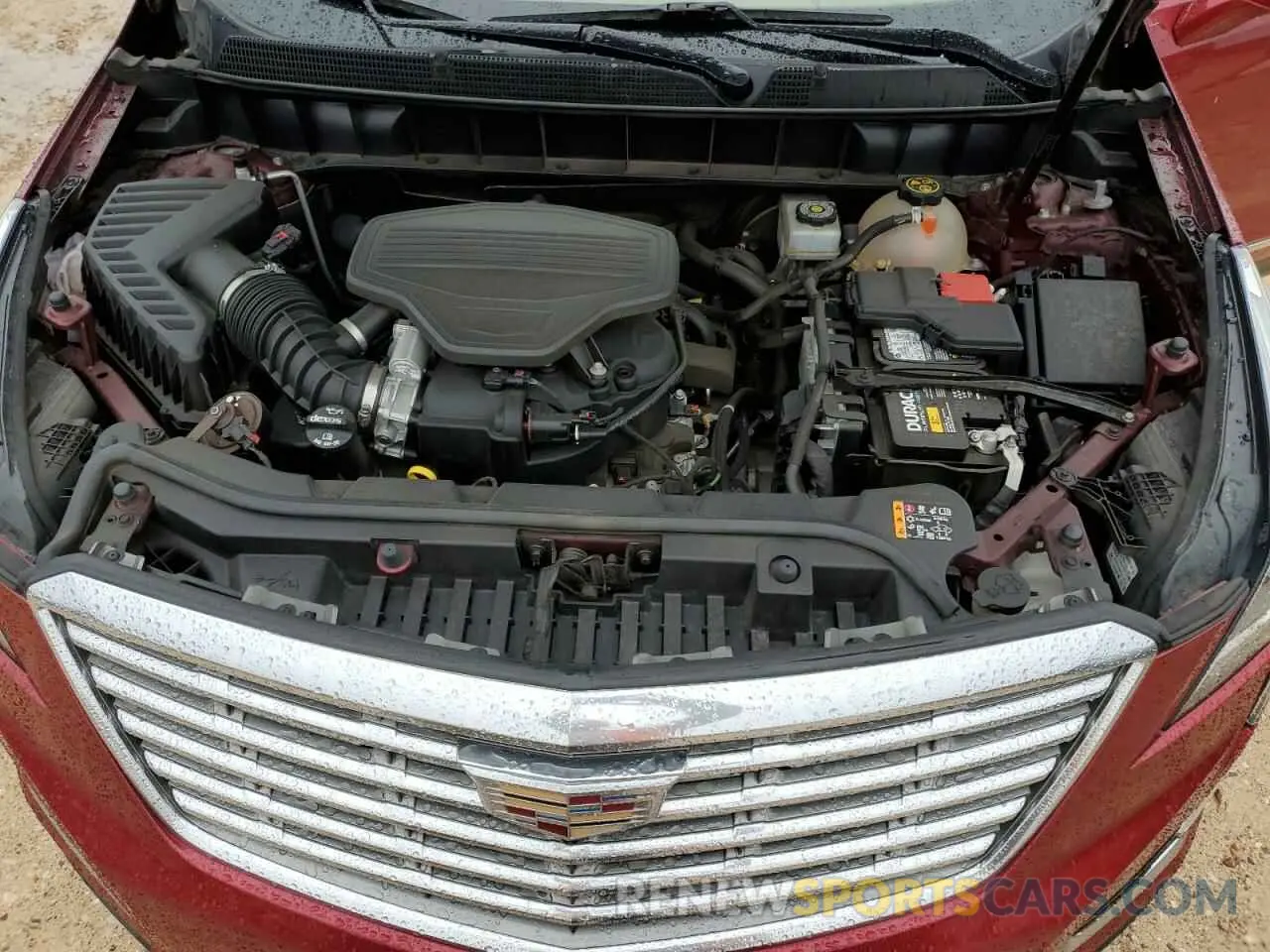 11 fotografías del automóvil dañado 1GYKNGRS8KZ147845 CADILLAC XT5 2019