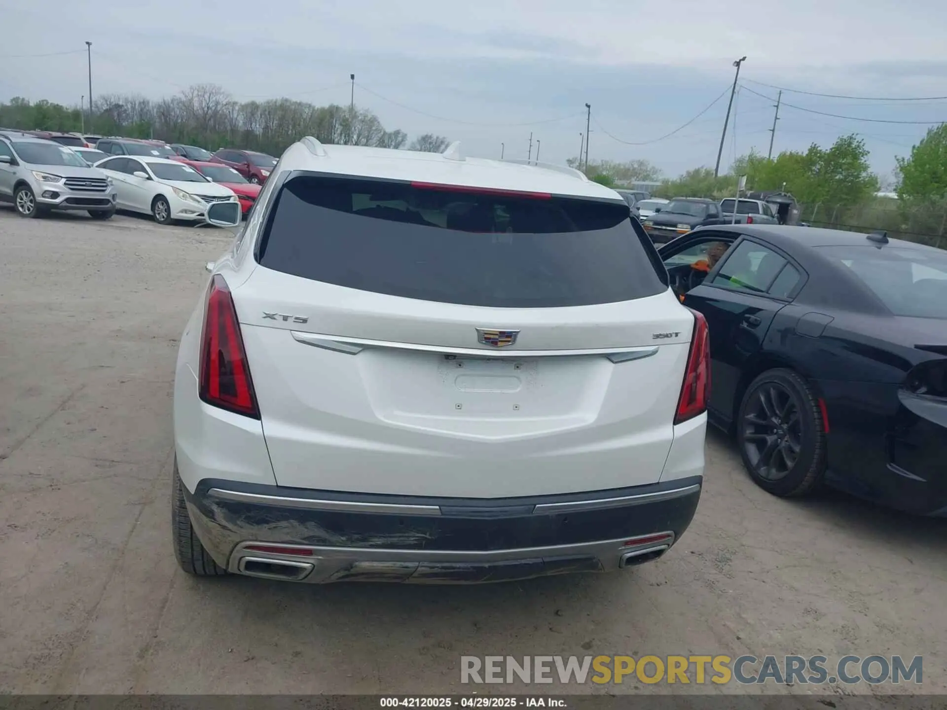 17 fotografías del automóvil dañado 1GYKNCR49LZ239803 CADILLAC XT5 2020
