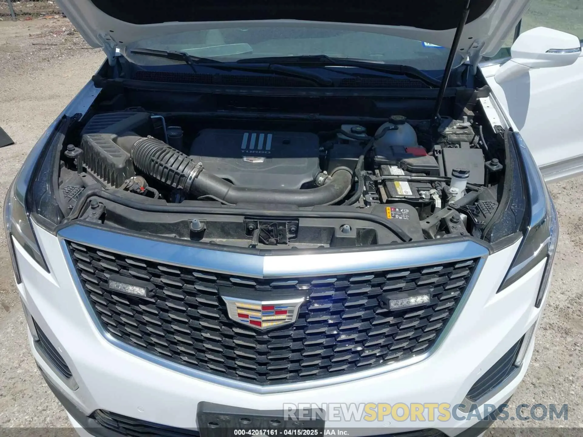 10 fotografías del automóvil dañado 1GYKNAR47MZ210905 CADILLAC XT5 2021
