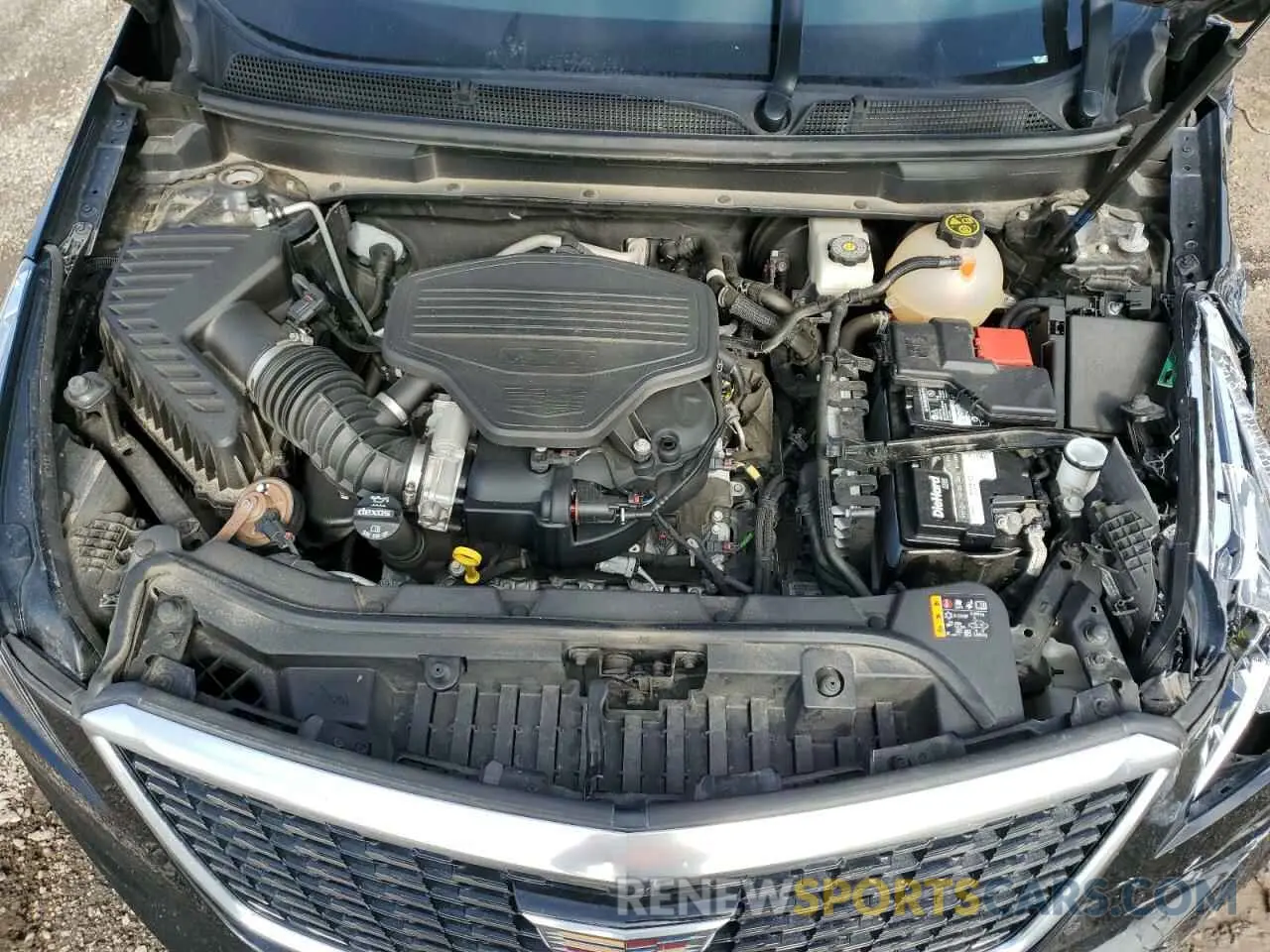 12 fotografías del automóvil dañado 1GYKNCRS1MZ107036 CADILLAC XT5 2021
