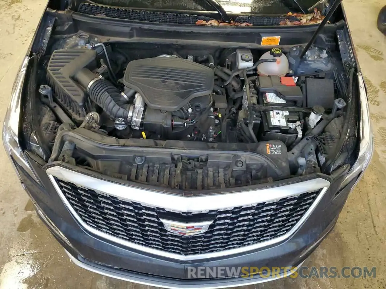 12 fotografías del automóvil dañado 1GYKNCRS8MZ136937 CADILLAC XT5 2021
