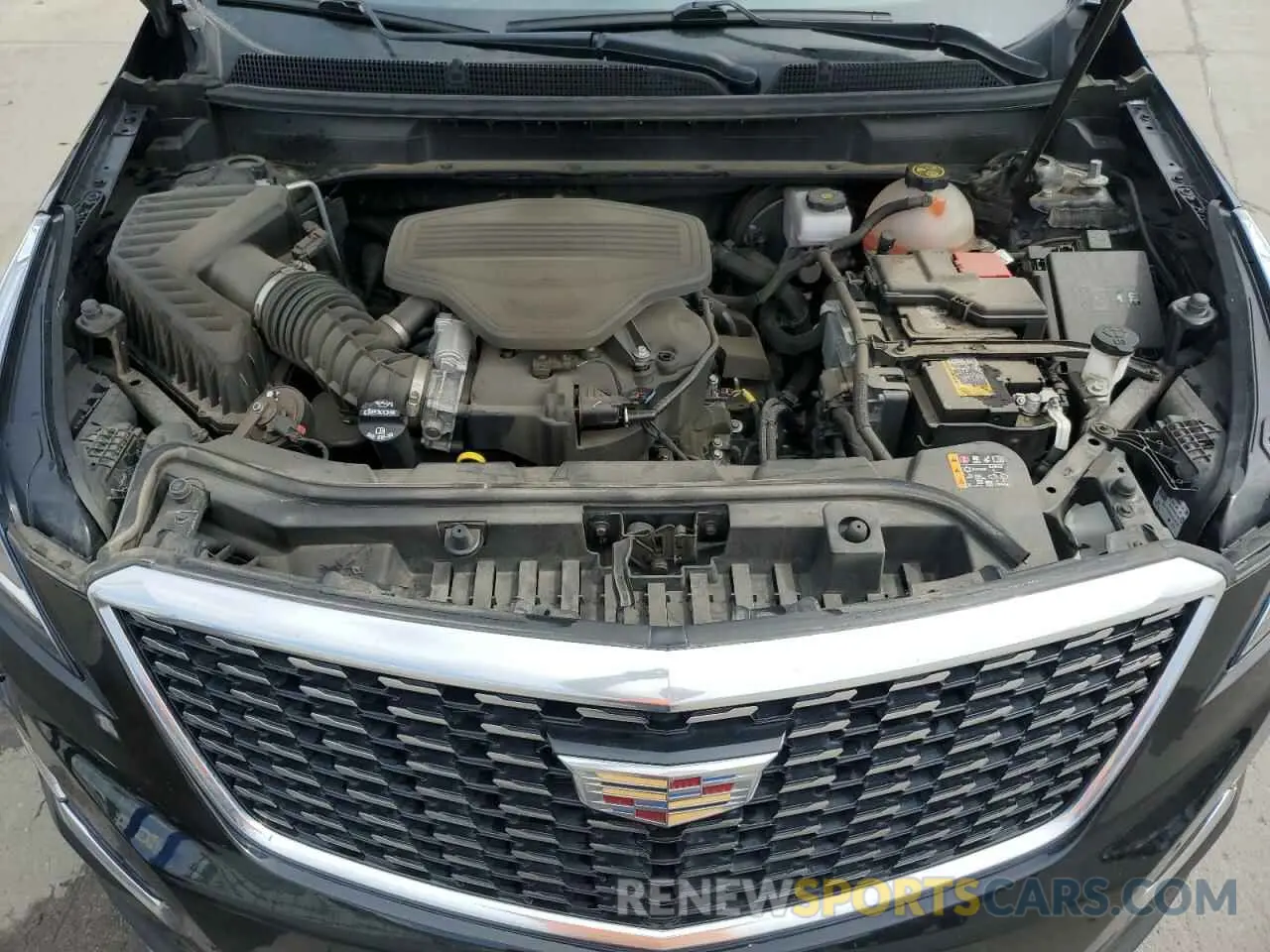 12 fotografías del automóvil dañado 1GYKNDRS0MZ111567 CADILLAC XT5 2021