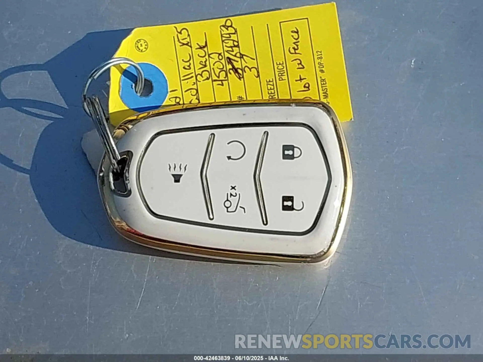 11 fotografías del automóvil dañado 1GYKNDRS3MZ104502 CADILLAC XT5 2021