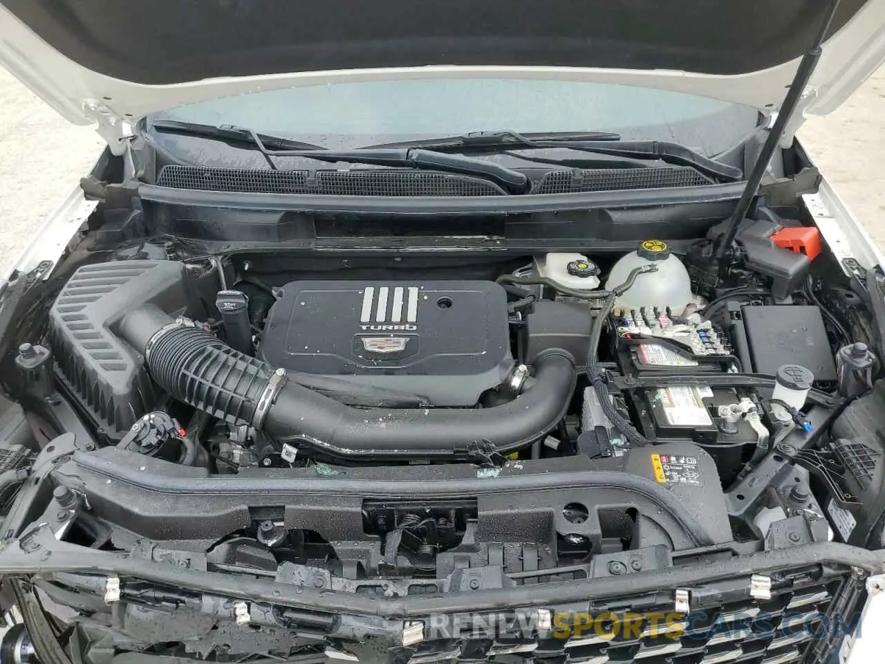 12 fotografías del automóvil dañado 1GYKNCR45RZ708894 CADILLAC XT5 2024