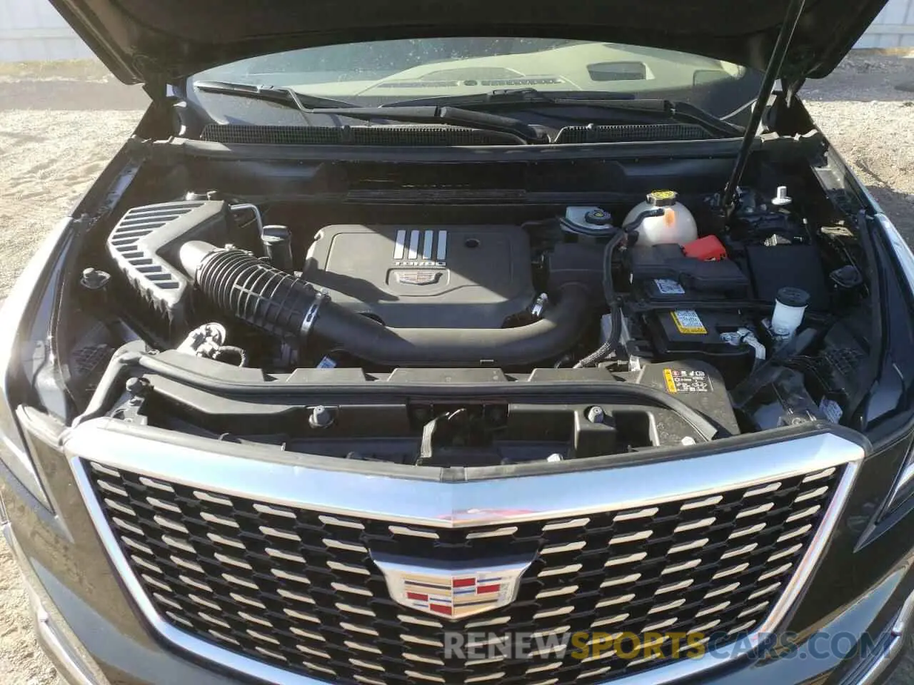 12 fotografías del automóvil dañado 1GYKNFR47RZ070021 CADILLAC XT5 2024