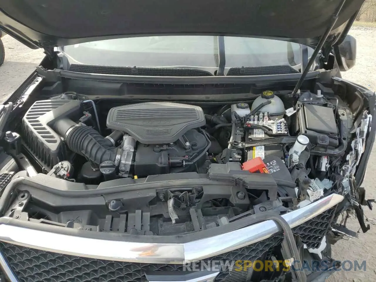 12 fotografías del automóvil dañado 1GYKNGRS1RZ711359 CADILLAC XT5 2024