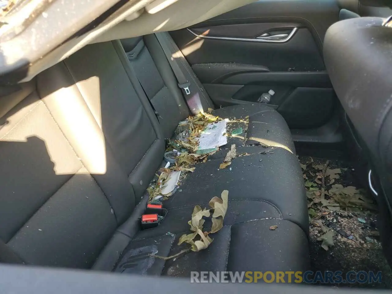 10 fotografías del automóvil dañado 2G61M5S34K9100949 CADILLAC XTS 2019