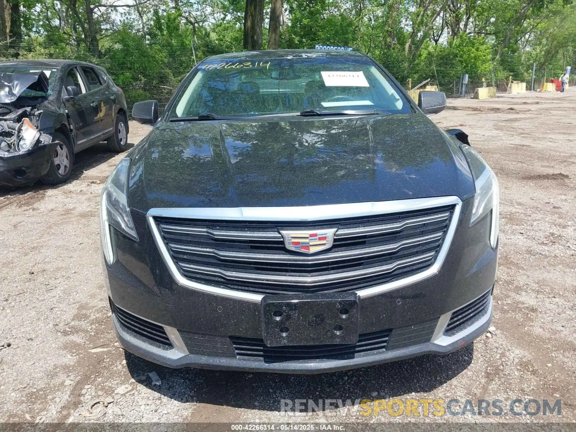 13 fotografías del automóvil dañado 2G61U5S37K9157078 CADILLAC XTS 2019