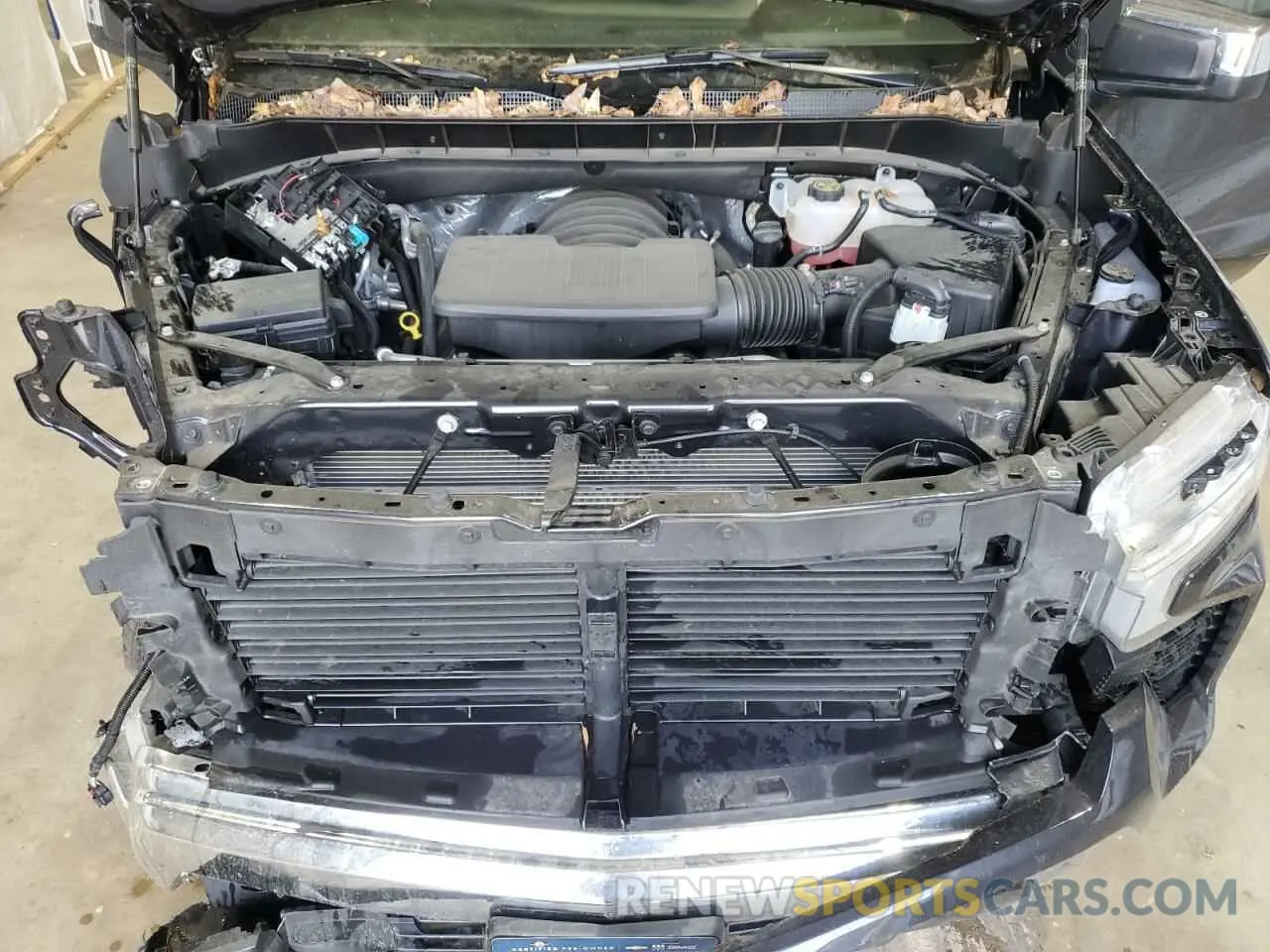11 fotografías del automóvil dañado 1GCPACEDXRZ146567 CHEVROLET ALL Models 2024