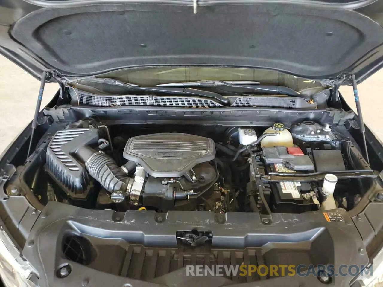 12 fotografías del automóvil dañado 3GNKBCRS7KS702831 CHEVROLET BLAZER 2019