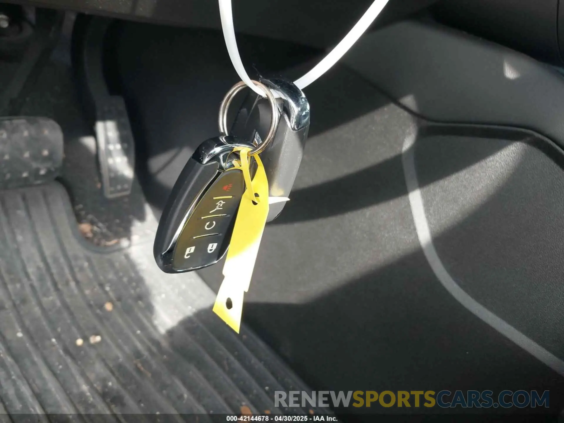 11 fotografías del automóvil dañado 3GNKBCRS8KS657026 CHEVROLET BLAZER 2019