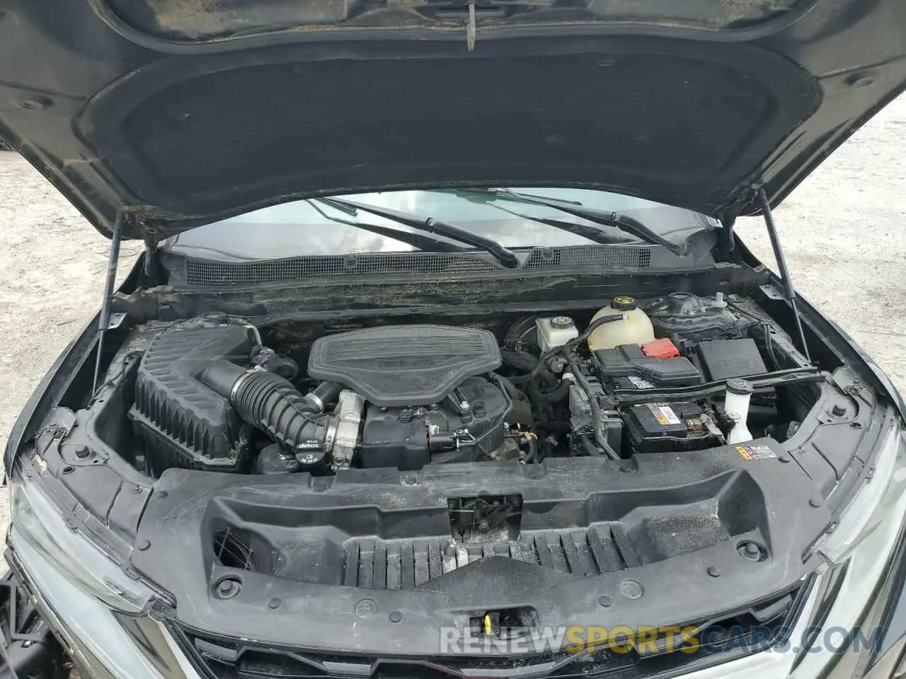 12 fotografías del automóvil dañado 3GNKBERS2KS696836 CHEVROLET BLAZER 2019