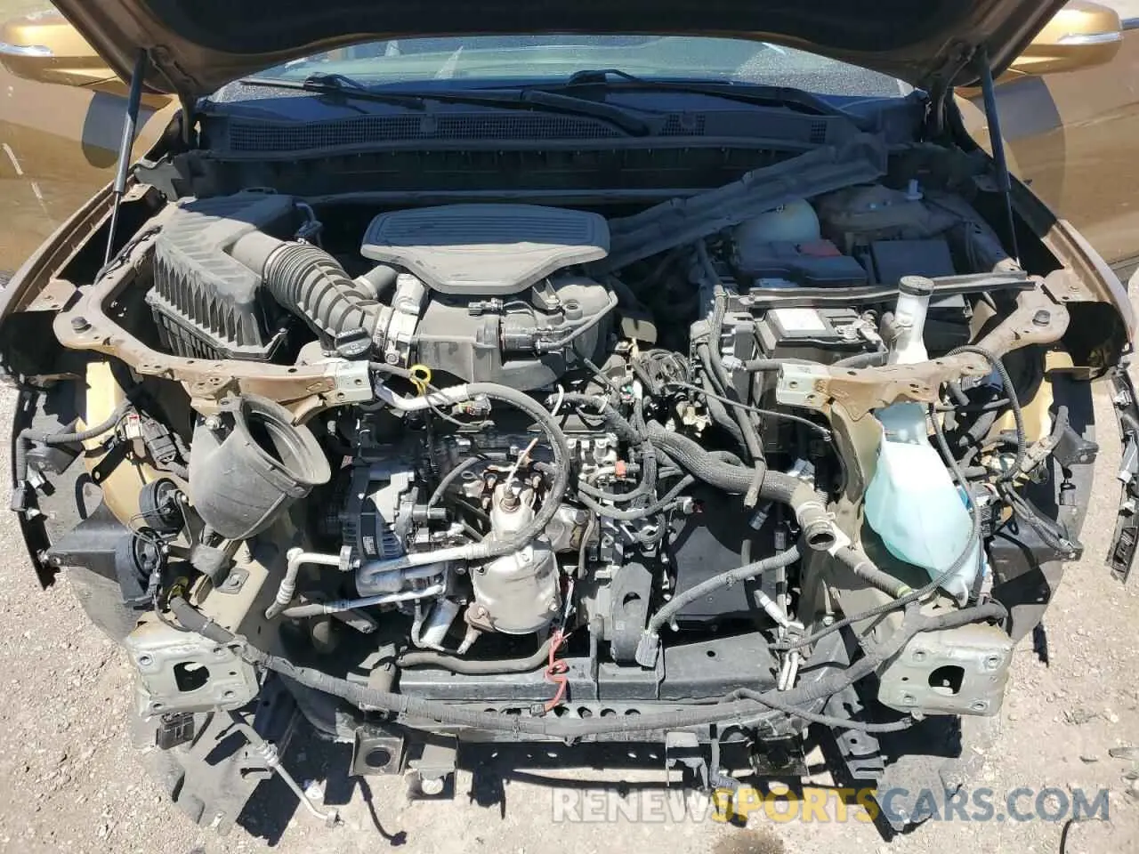 11 fotografías del automóvil dañado 3GNKBJRS3KS680296 CHEVROLET BLAZER 2019