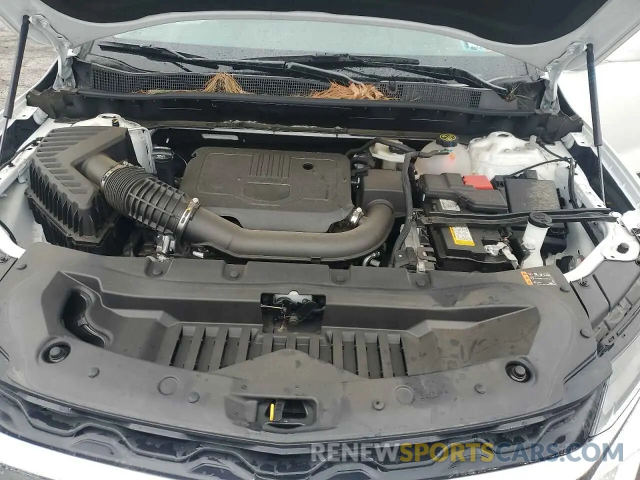 12 fotografías del automóvil dañado 3GNKBHR42RS164662 CHEVROLET BLAZER 2024