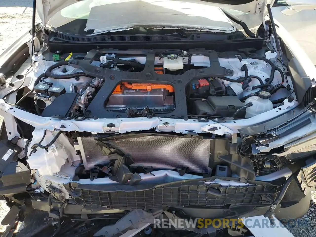 12 fotografías del automóvil dañado 3GNKDBRJ2RS217390 CHEVROLET BLAZER 2024