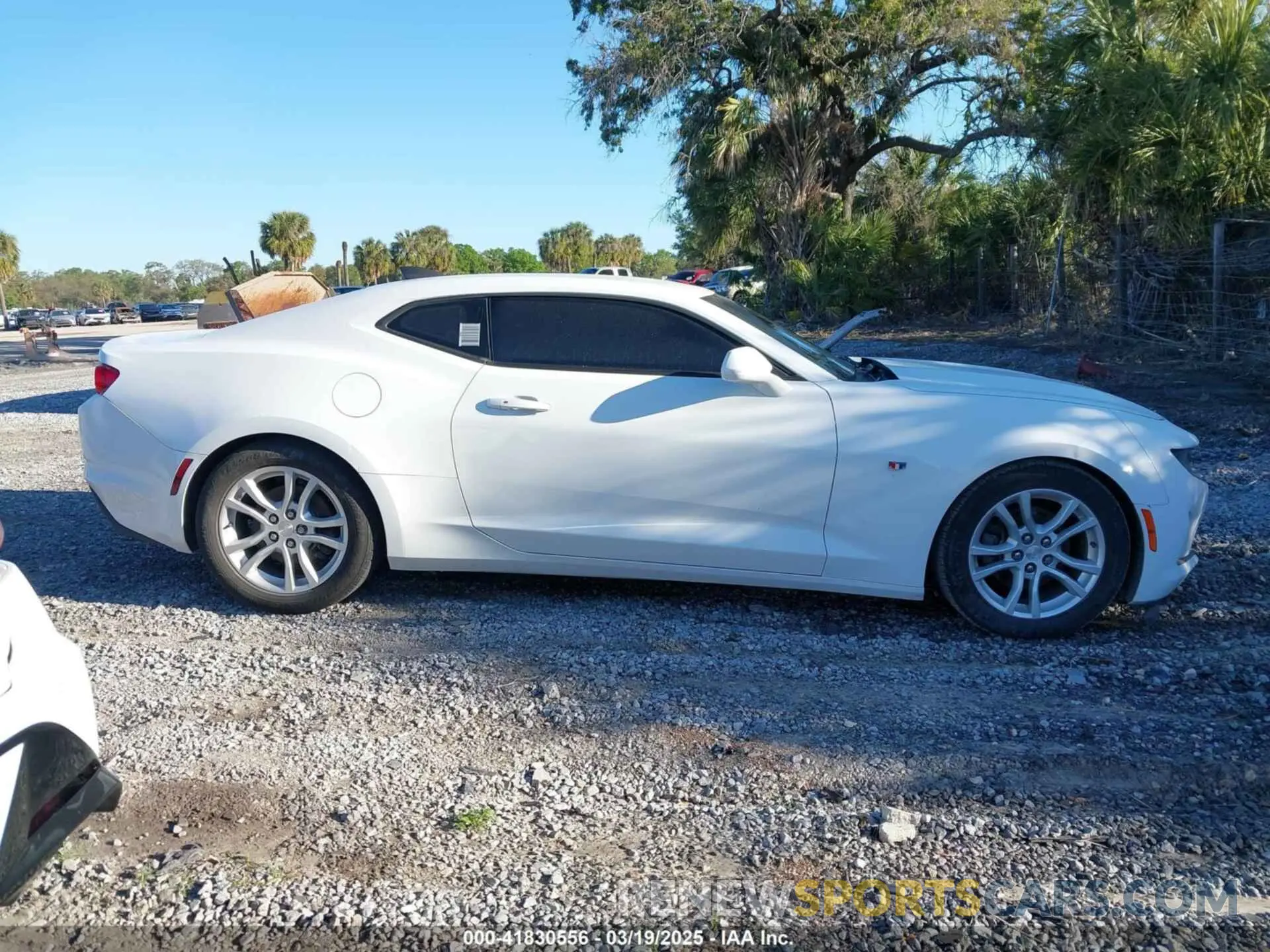 13 fotografías del automóvil dañado 1G1FB1RX3K0125712 CHEVROLET CAMARO 2019