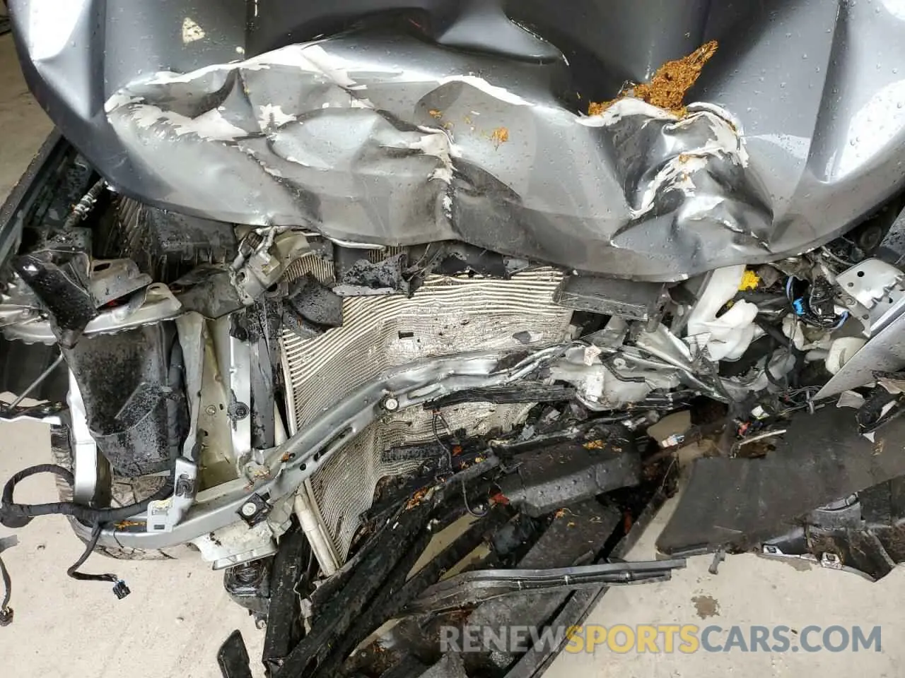 12 fotografías del automóvil dañado 1GCGTDEN3K1240190 CHEVROLET COLORADO 2019