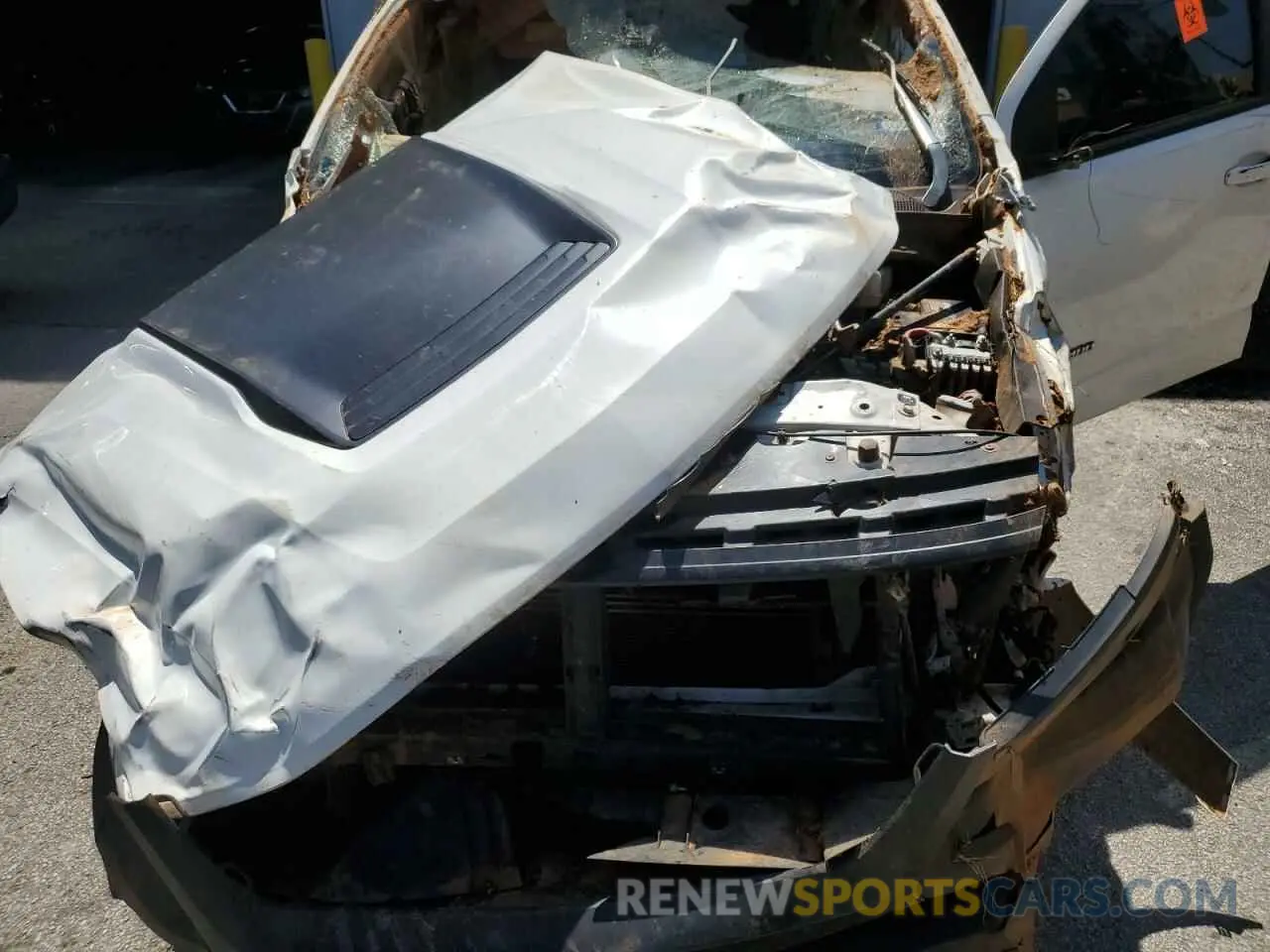 12 fotografías del automóvil dañado 1GCGTEEN8K1236304 CHEVROLET COLORADO 2019
