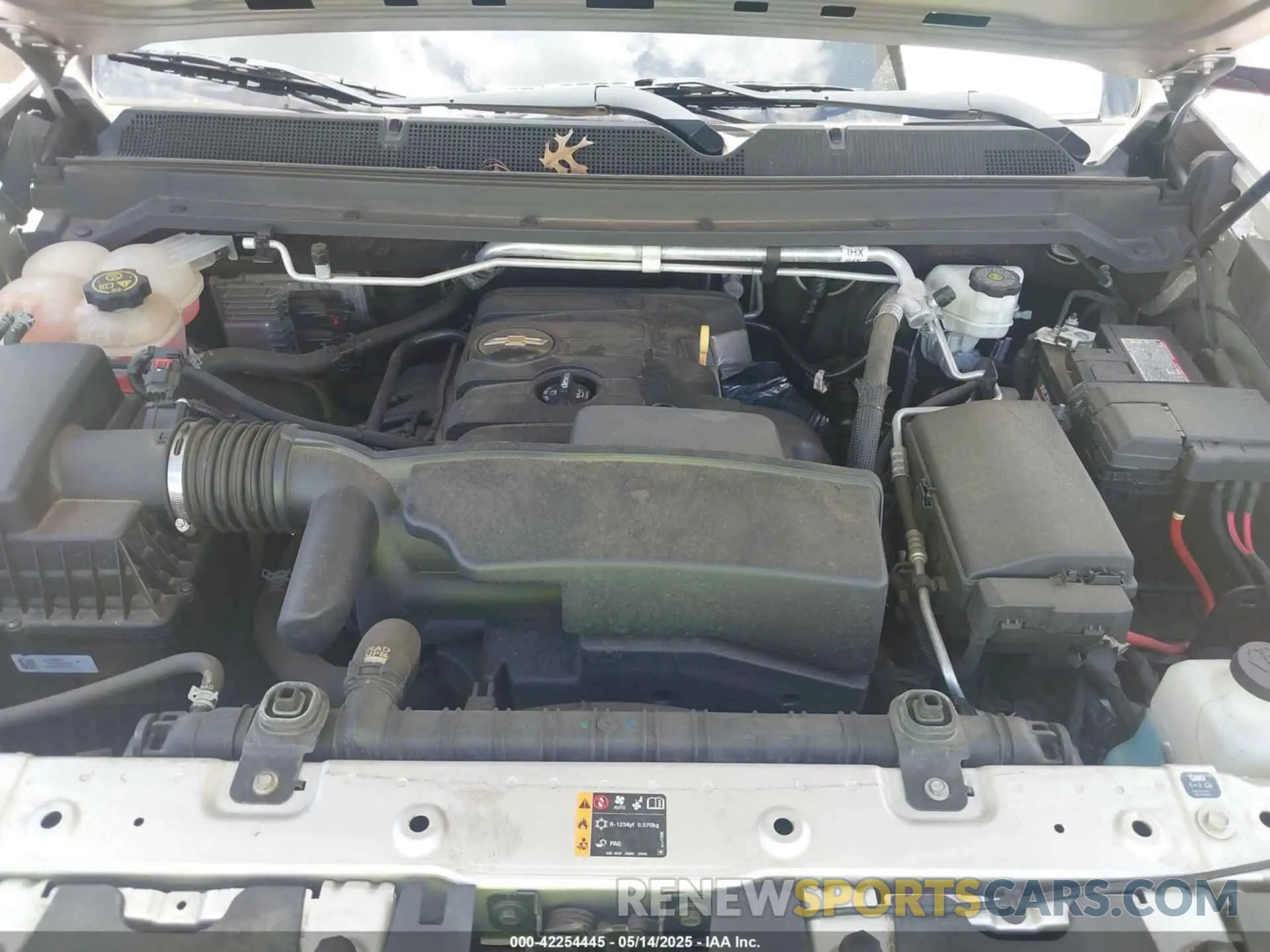 10 fotografías del automóvil dañado 1GCHSBEA3K1260366 CHEVROLET COLORADO 2019