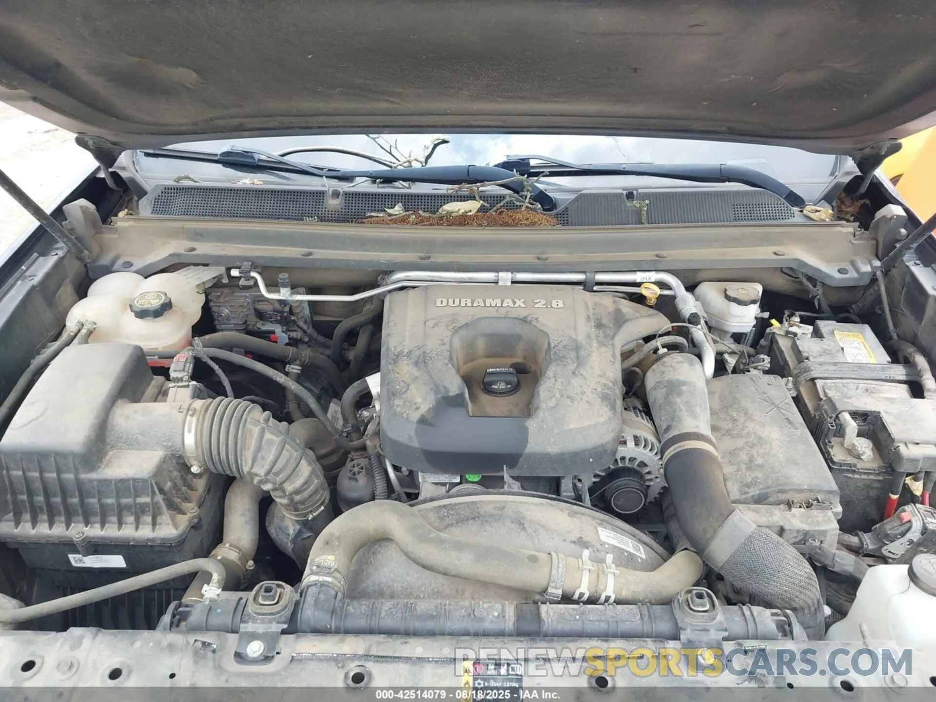 10 fotografías del automóvil dañado 1GCPTEE18K1186582 CHEVROLET COLORADO 2019