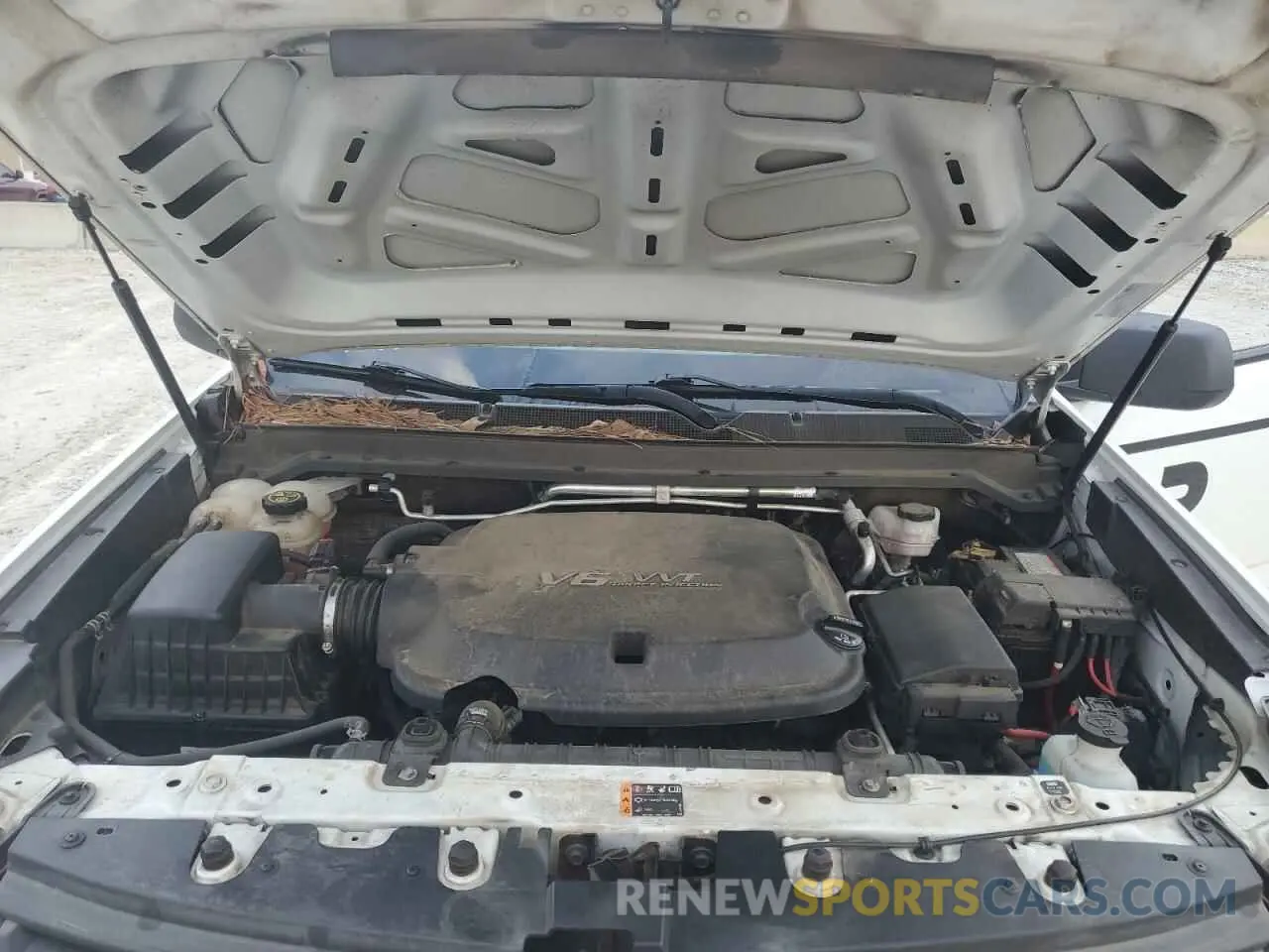 11 fotografías del automóvil dañado 1GCGSBEN5M1279342 CHEVROLET COLORADO 2021