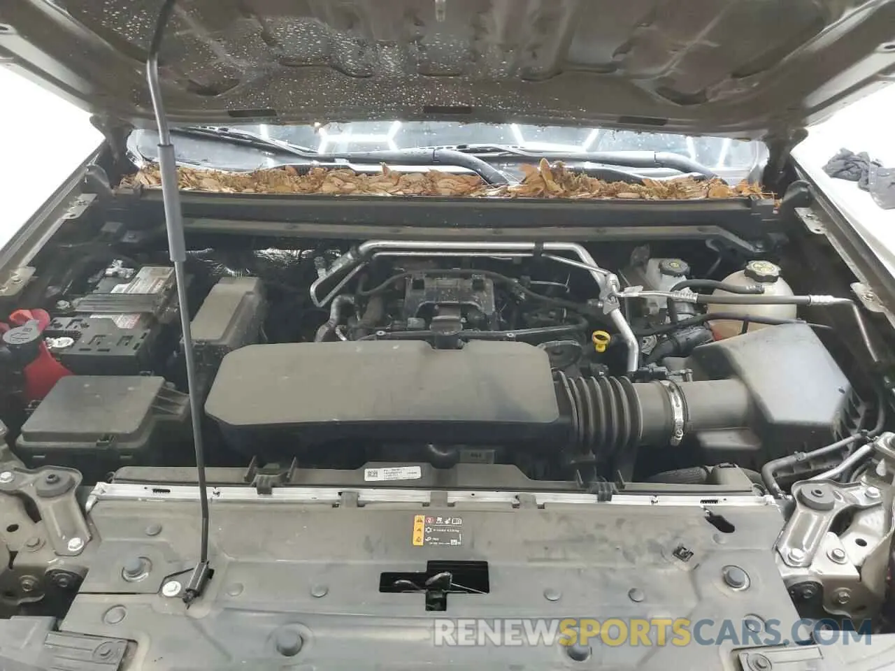 11 fotografías del automóvil dañado 1GCGSBEC9P1263440 CHEVROLET COLORADO 2023
