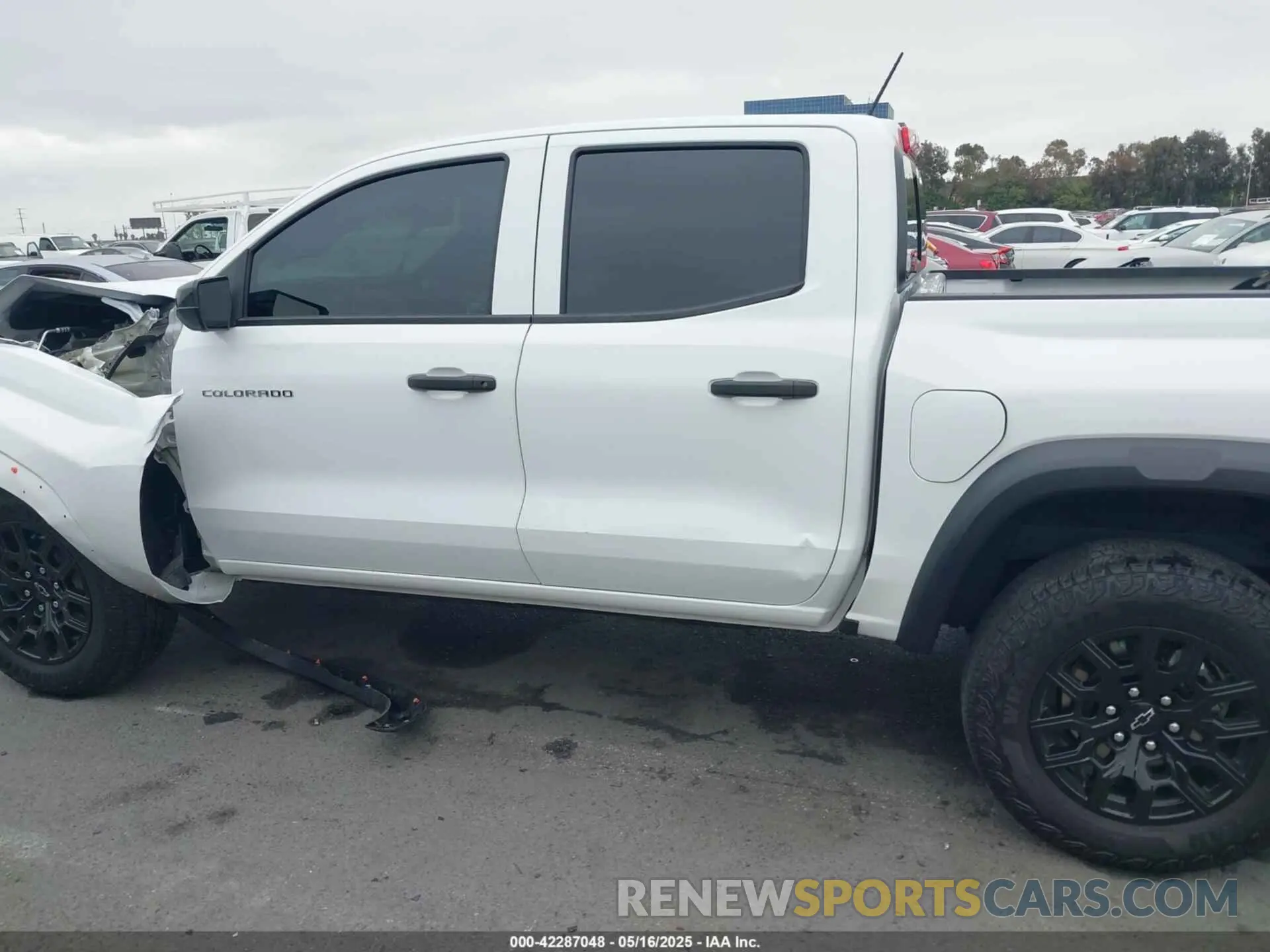 13 fotografías del automóvil dañado 1GCPTEEK1R1156164 CHEVROLET COLORADO 2024