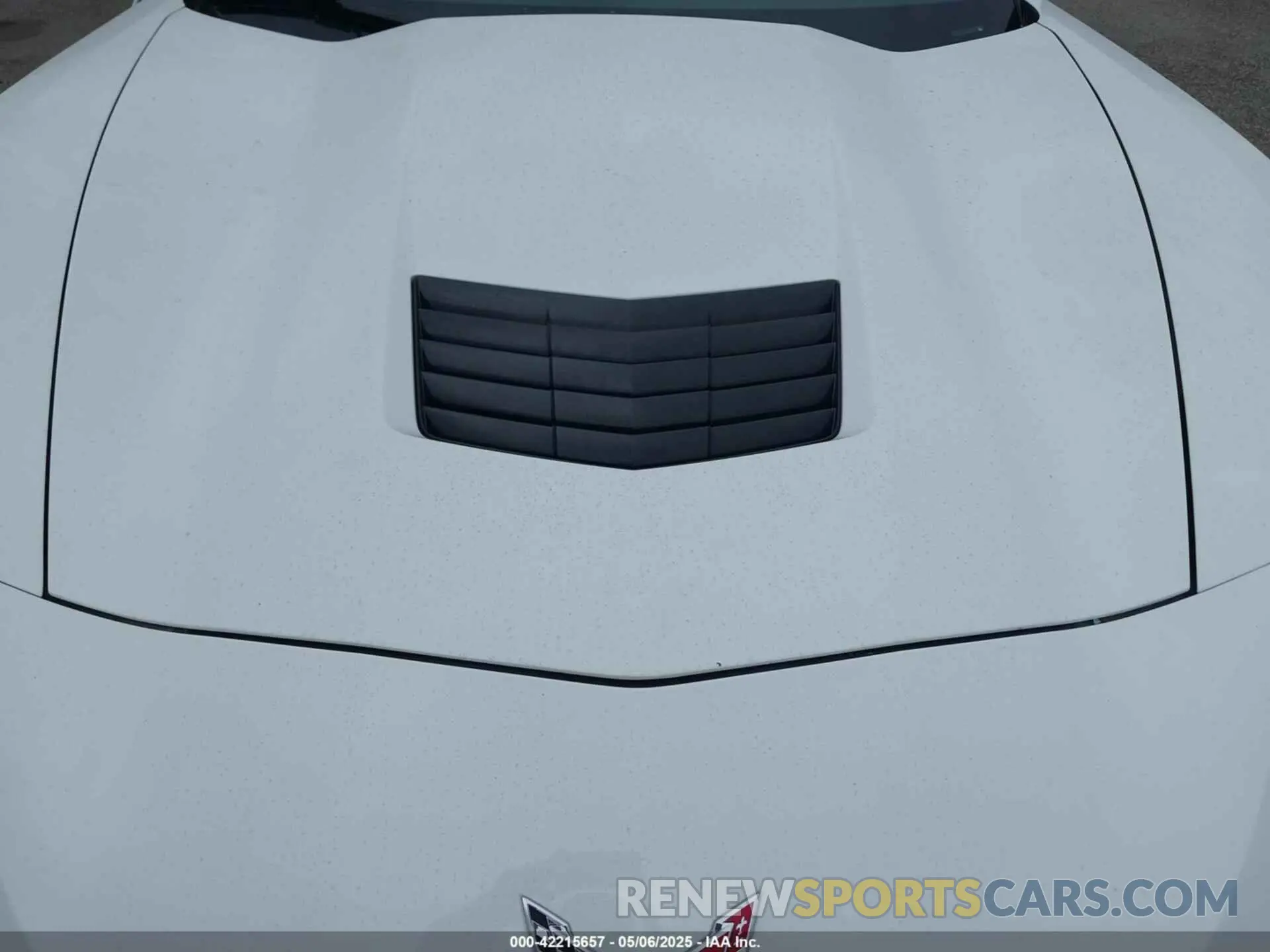 10 fotografías del automóvil dañado 1G1YB2D76K5112204 CHEVROLET CORVETTE 2019