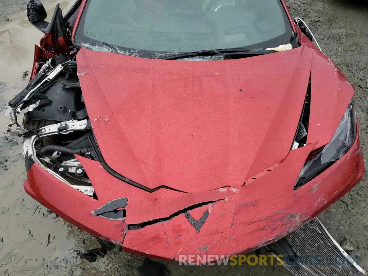 12 fotografías del automóvil dañado 1G1YB3D41R5123651 CHEVROLET CORVETTE 2024