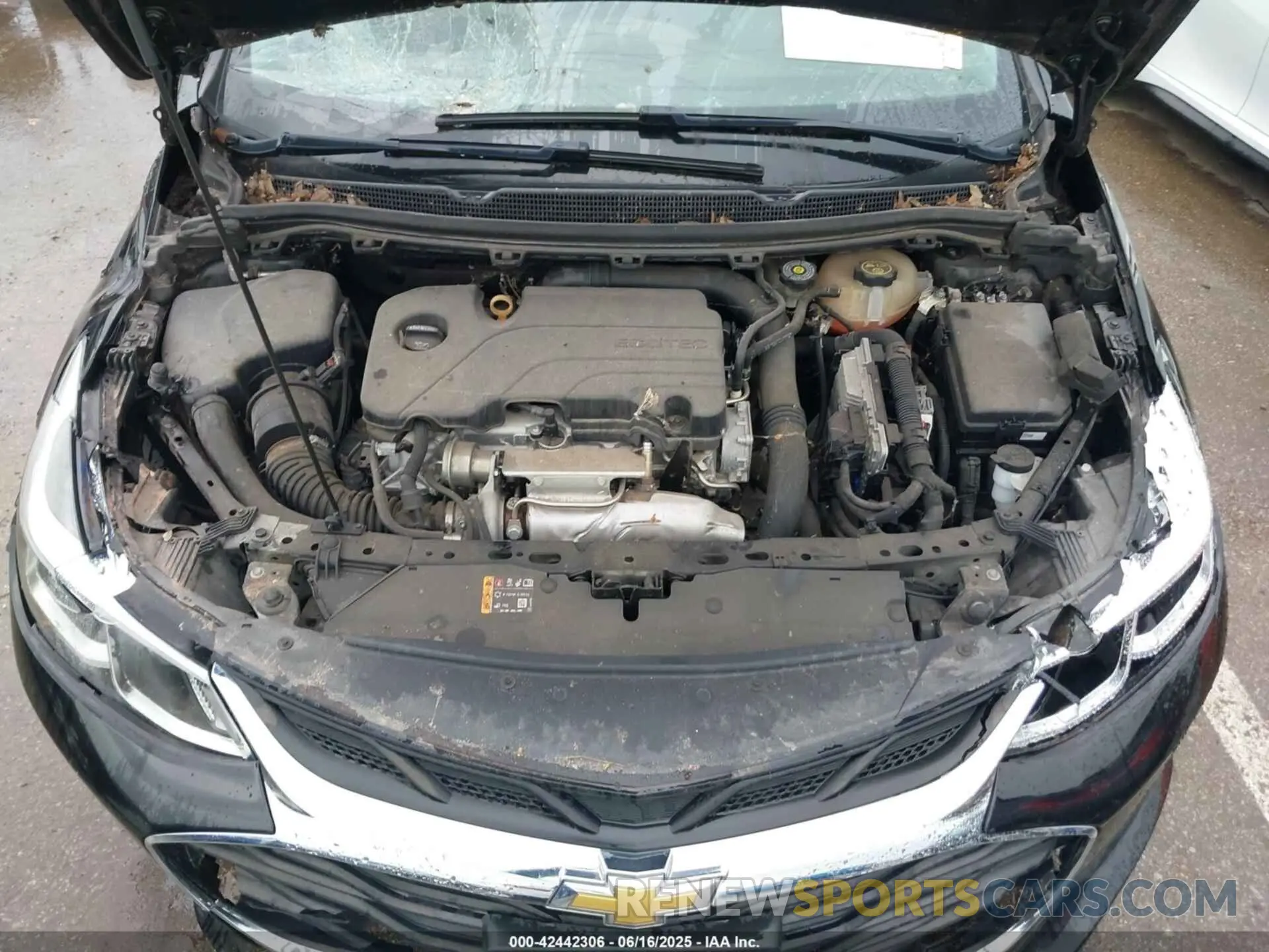 10 fotografías del automóvil dañado 1G1BC5SM1K7130885 CHEVROLET CRUZE 2019