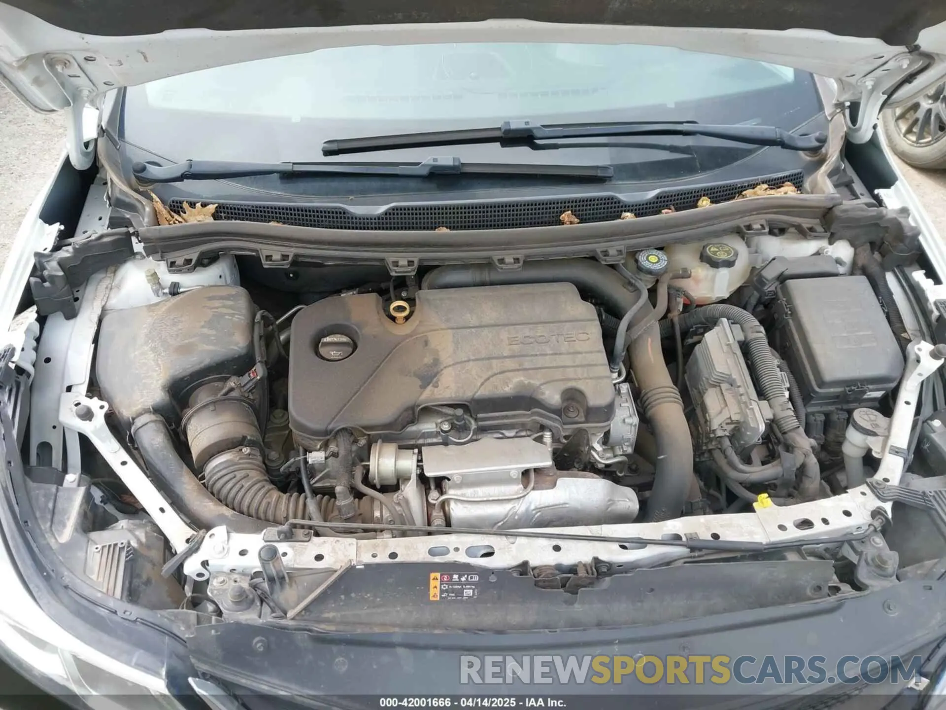 10 fotografías del automóvil dañado 1G1BC5SM2K7100598 CHEVROLET CRUZE 2019