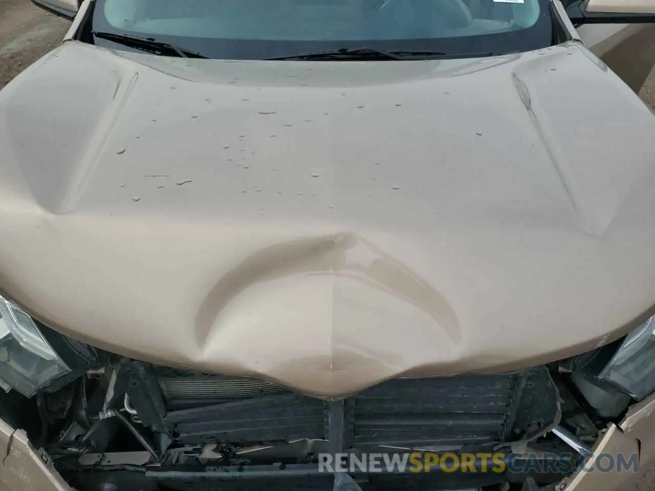 12 fotografías del automóvil dañado 2GNAXKEV4K6201613 CHEVROLET EQUINOX 2019