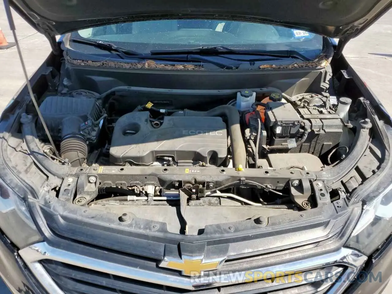 12 fotografías del automóvil dañado 3GNAXHEV9KL305075 CHEVROLET EQUINOX 2019