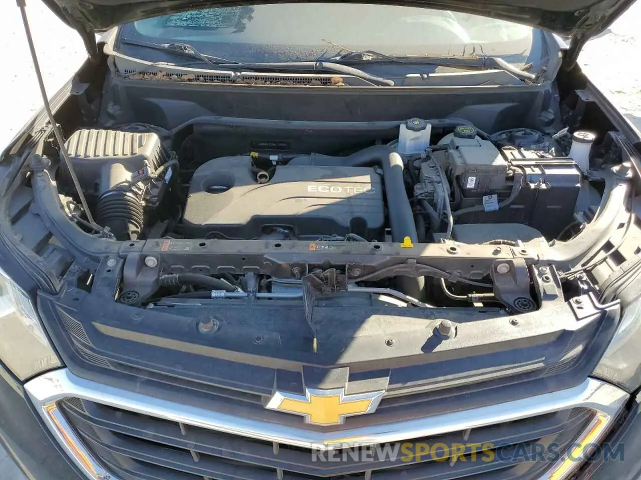 12 fotografías del automóvil dañado 3GNAXJEV2KL316975 CHEVROLET EQUINOX 2019