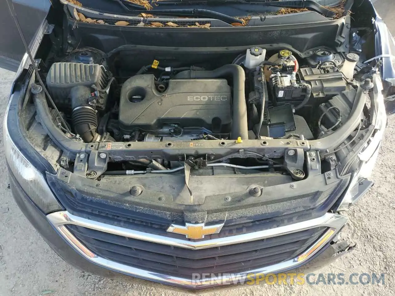 13 fotografías del automóvil dañado 3GNAXKEV0KL240419 CHEVROLET EQUINOX 2019