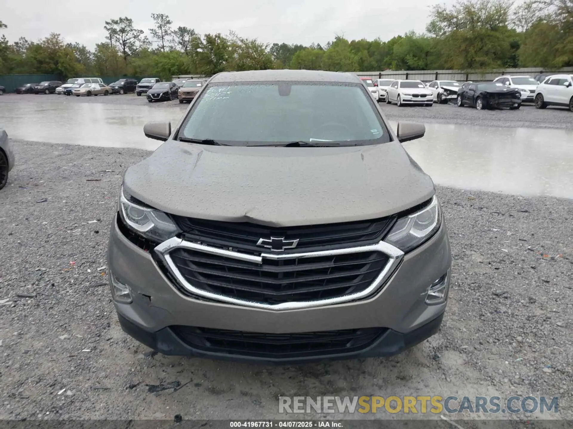 12 fotografías del automóvil dañado 3GNAXKEV1KS541674 CHEVROLET EQUINOX 2019