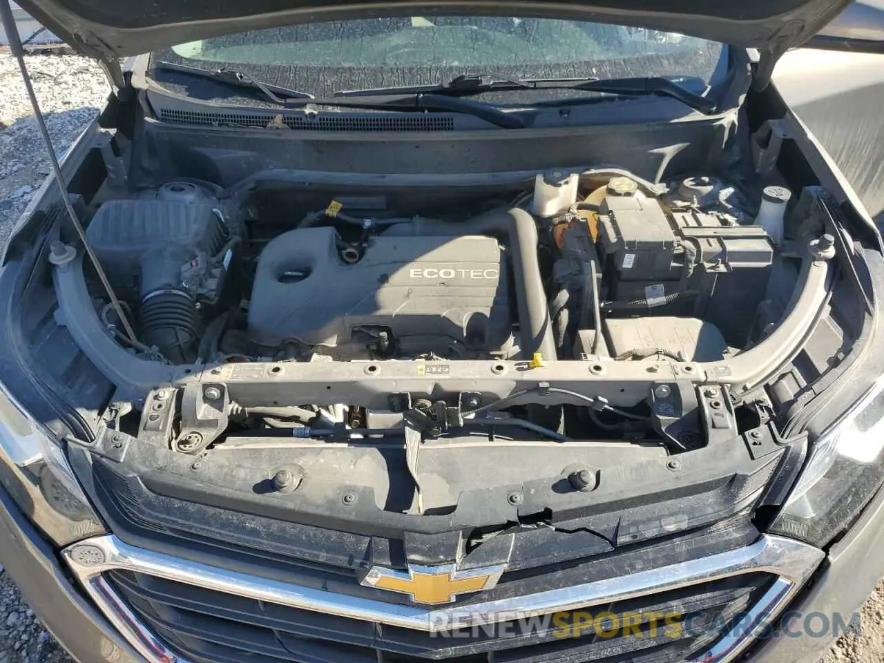 12 fotografías del automóvil dañado 3GNAXKEV1KS579535 CHEVROLET EQUINOX 2019