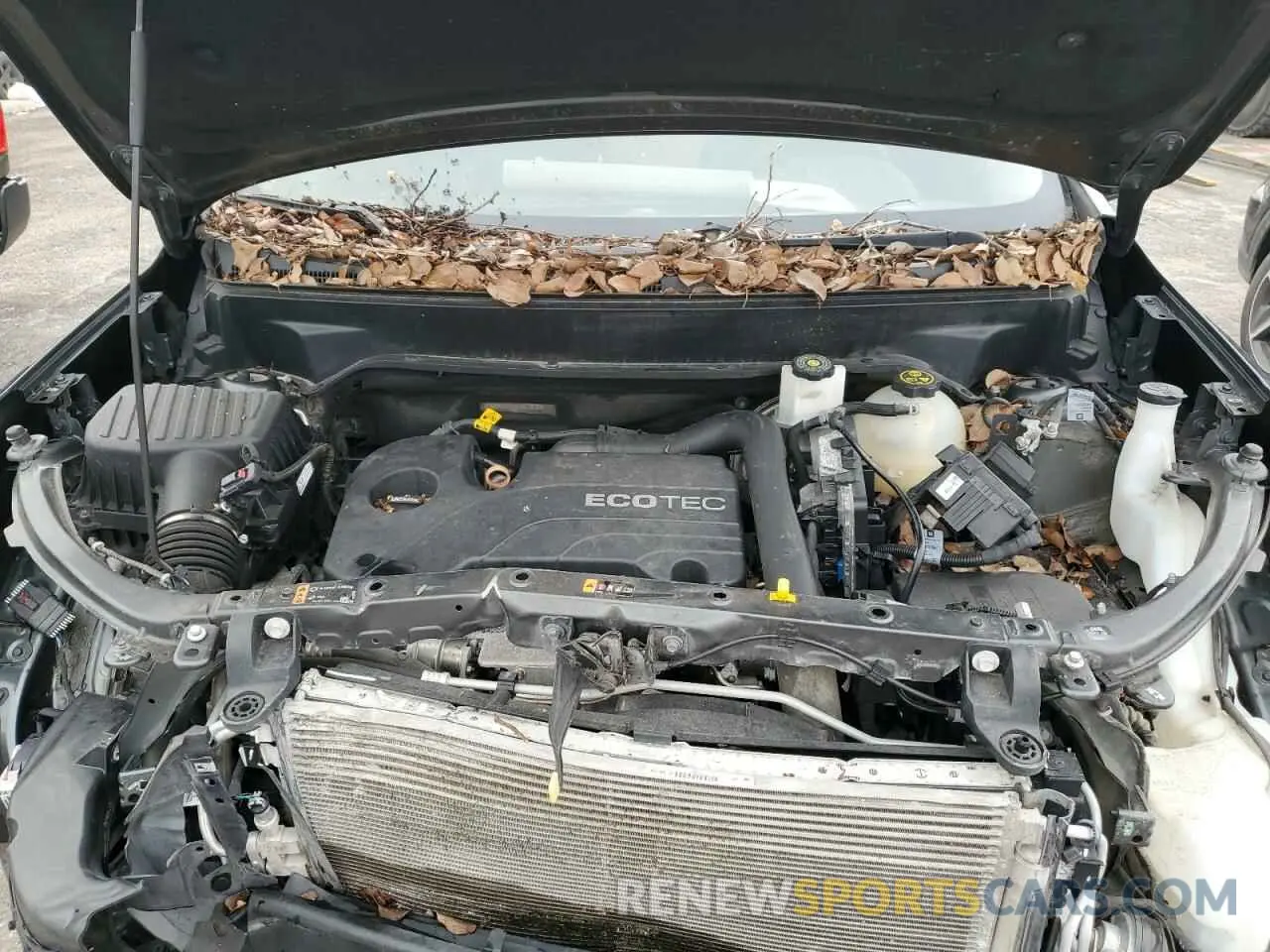 11 fotografías del automóvil dañado 3GNAXKEVXKS577010 CHEVROLET EQUINOX 2019