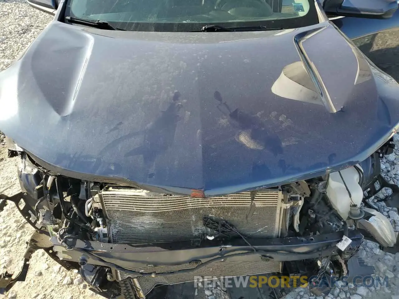 13 fotografías del automóvil dañado 3GNAXUEV8KS535348 CHEVROLET EQUINOX 2019