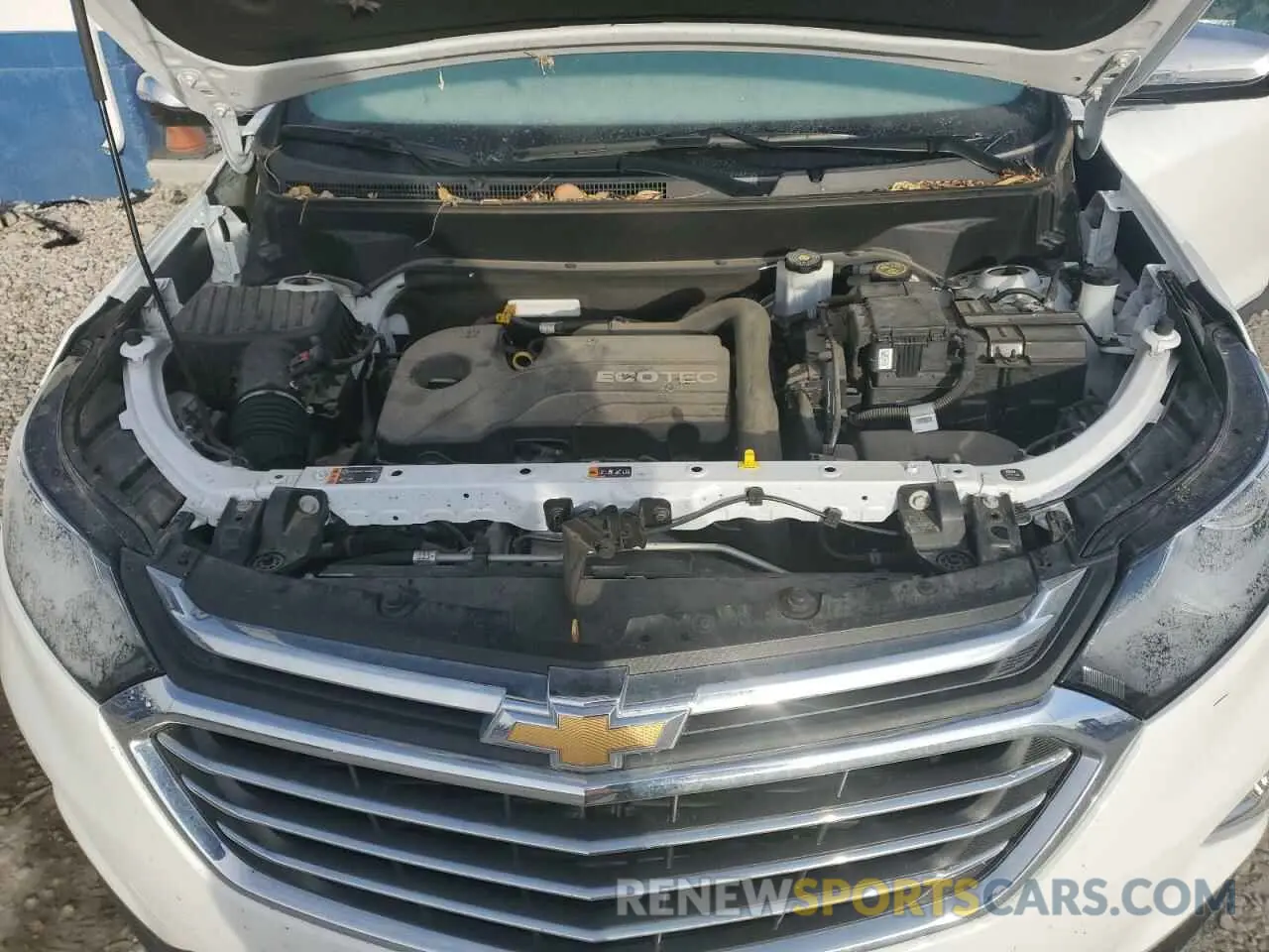 12 fotografías del automóvil dañado 3GNAXXEV2KL215163 CHEVROLET EQUINOX 2019